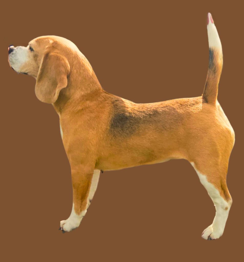 Oumpala de Maxcecan