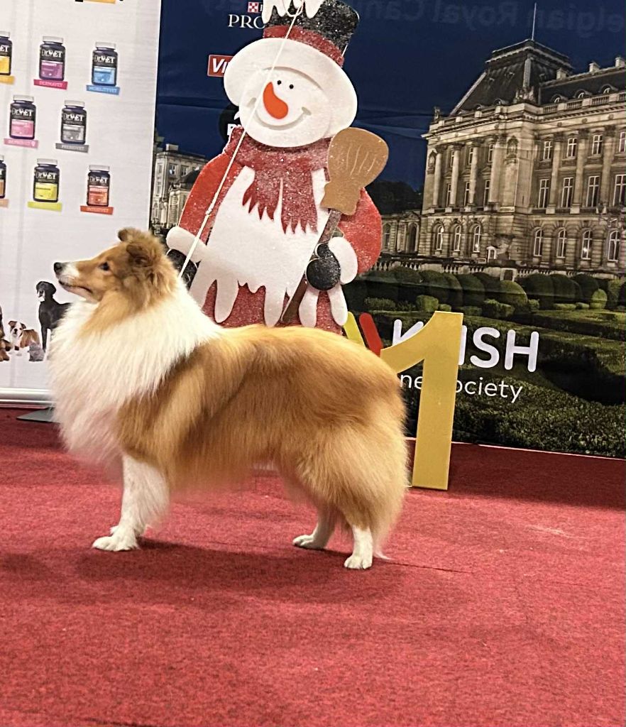 CH. Unique edition Of Sweet Woodruff